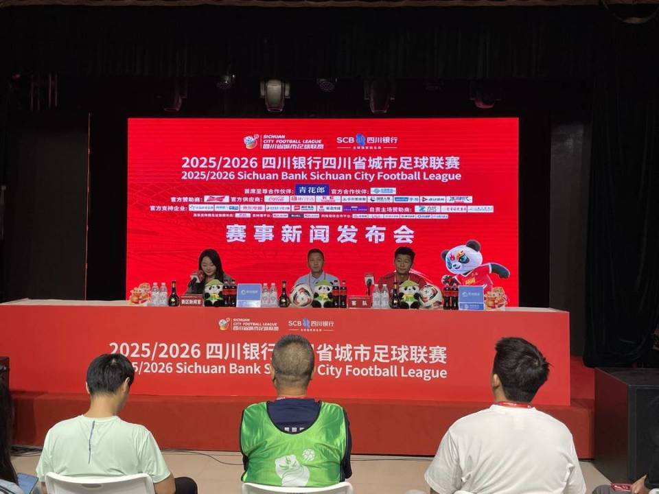 进行了一些 进行了一些