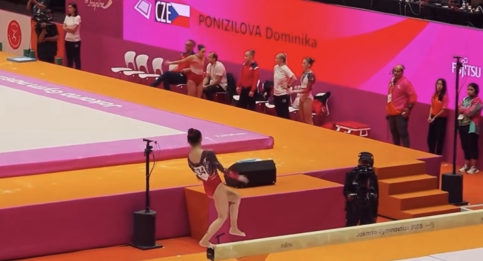 ZYq, 年全国体操 ZYq, 年全国体操